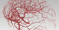 Thumb ticker sm brain1