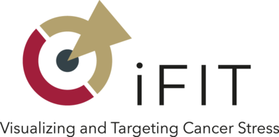 iFIT "Image-guided and Functionally Instructed Tumor Therapies"