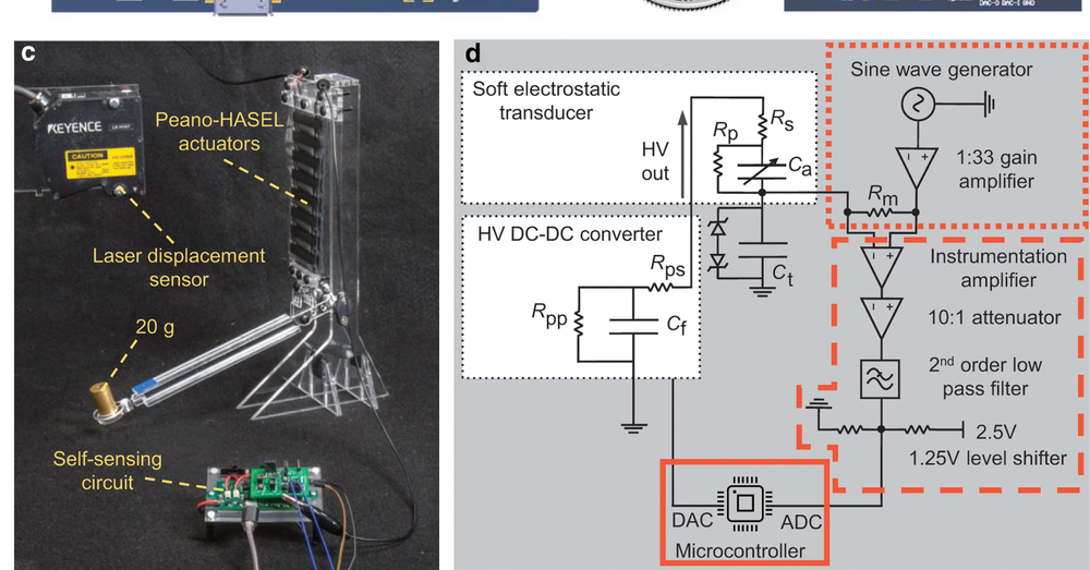Thumb ticker lg images soro.2020.0048 figure1